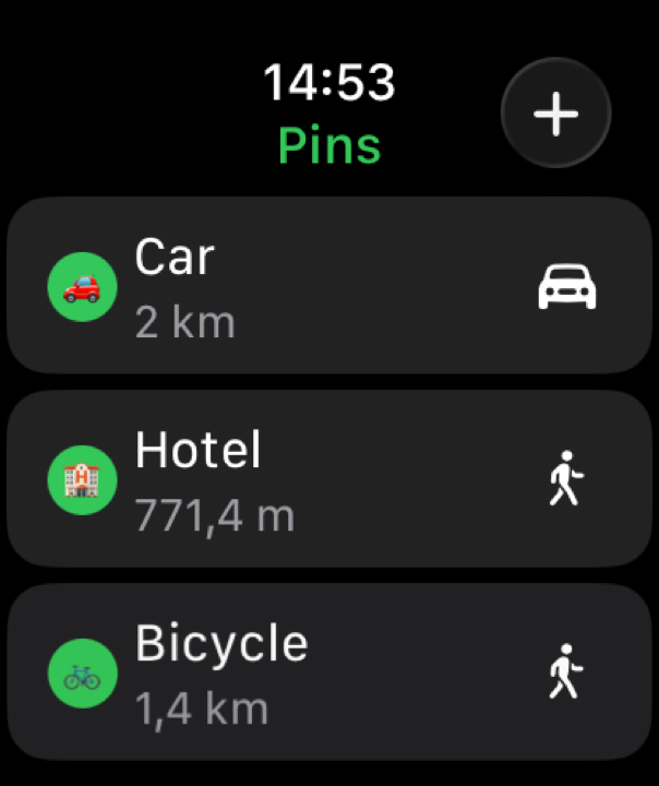 Watch pins